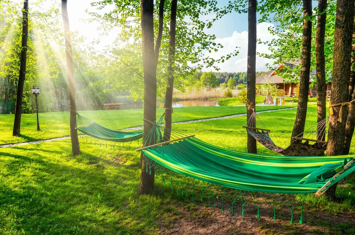 Hammocks Ideal for a leisurely afternoon nap.